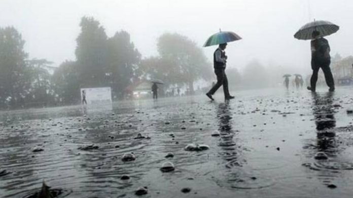 Rains across Punjab