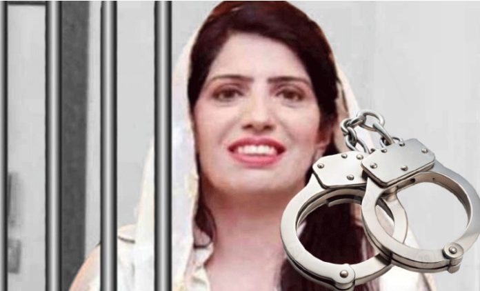 Aaliya Hamza arrested