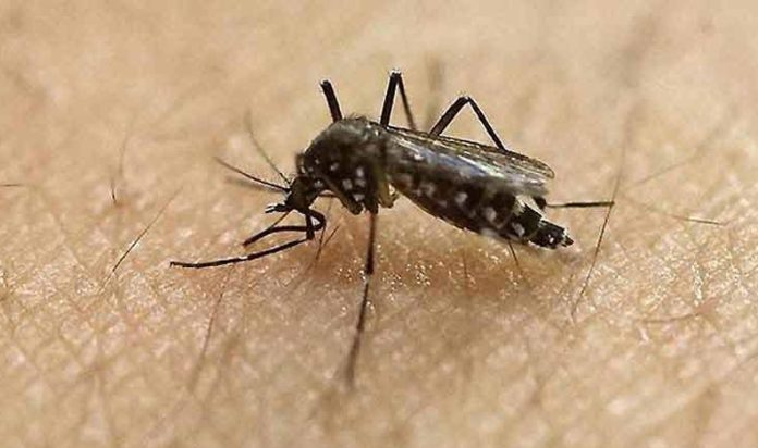 Malaria out of control in Sindh