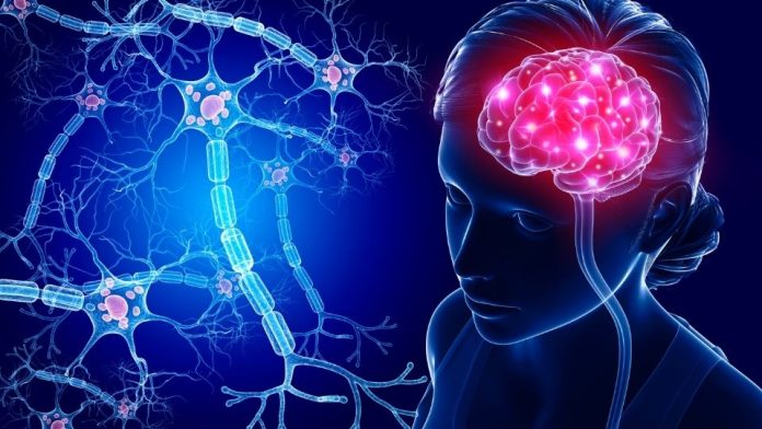 ایسی کون سی حالتیں ہیں جب دماغ ’اپنے آپ کو کھانا‘ شروع کر دیتا ہے؟