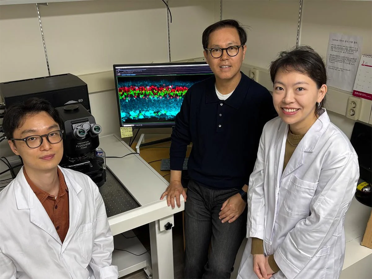 کورین سائنسدانوں کی حیرت انگیز دریافت بینائی کی مستقل بحالی ممکن ہو گئی