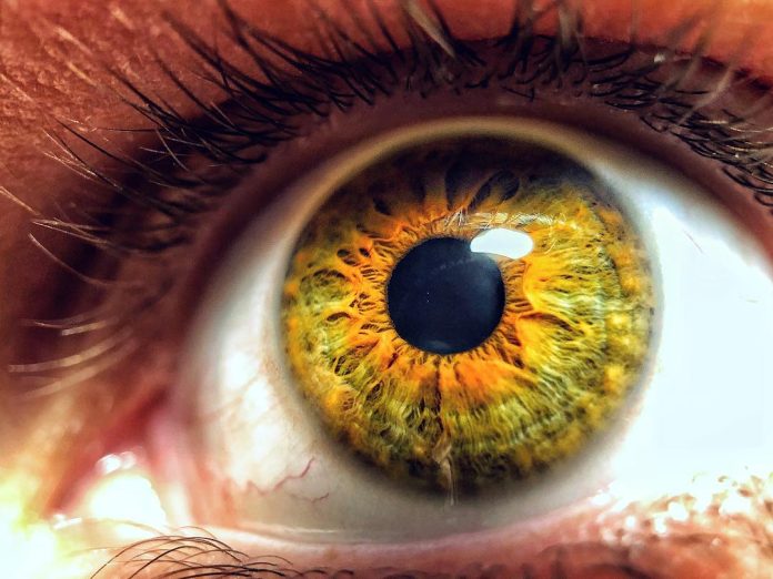 حج کی برکت سے بینائی سے محروم مصری خاتون کی نظر واپس آ گئی