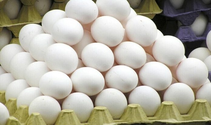 The egg paratha became a dream.