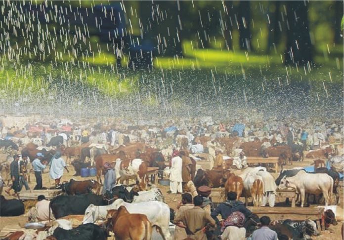 Rain and hail on Eid-ul-Adha