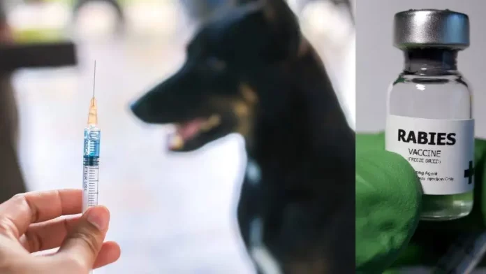 پاکستان میں پہلی بار مقامی طور پر ریبیز ویکسین کی تیاری مکمل