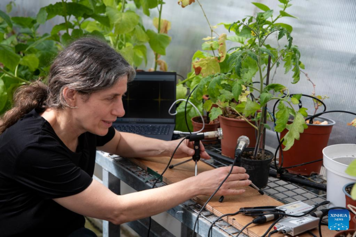 پیاسے پودوں کی آوازیں، کیڑے اور جانور سننے کی صلاحیت رکھتے ہیں: حیرت انگیز تحقیق