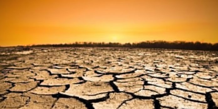 Deadly famine in Sudan forces citizens to eat animal fodder