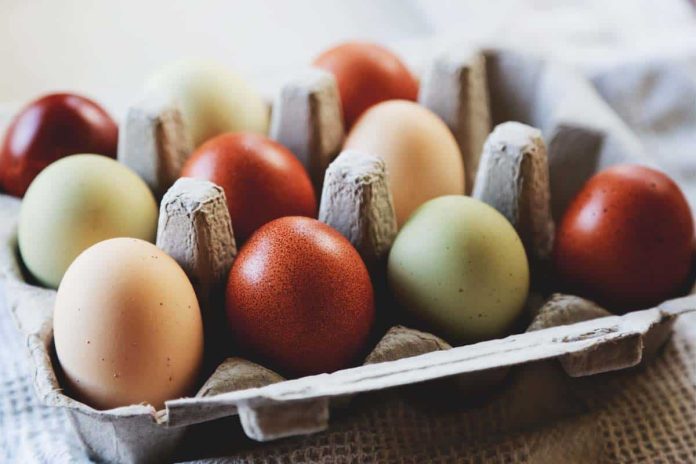 کیا انڈے کا رنگ غذائیت بدل دیتا ہے؟ ماہرین کی دلچسپ وضاحت سامنے آگئی