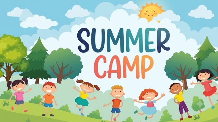 School owners cannot force children to attend summer camps؛ Punjab government